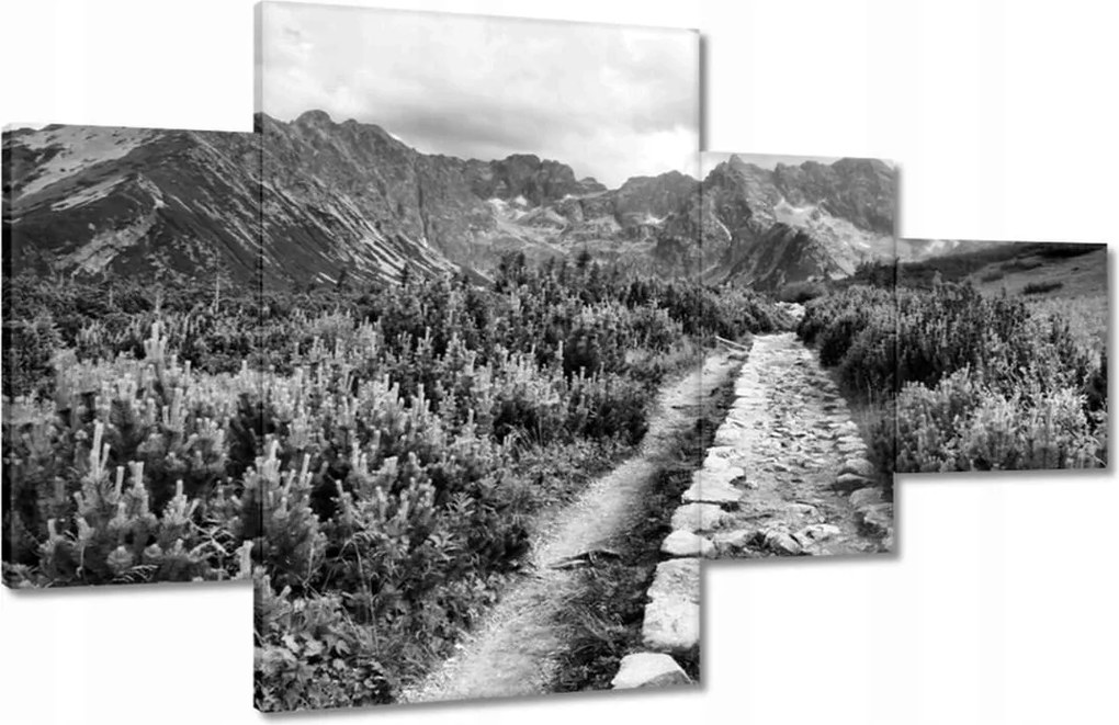 Képek 130x80 Tátra Lengyel hegyek Kilátás