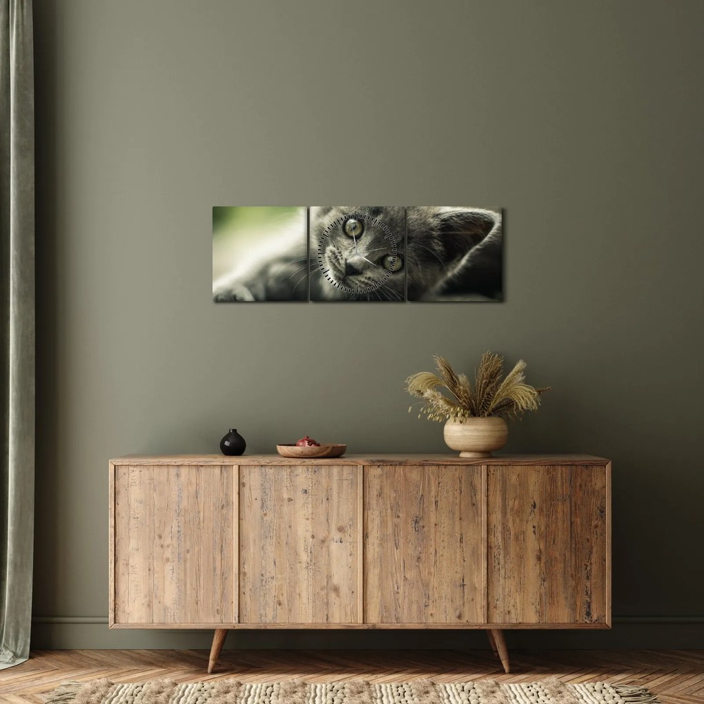 Cica képe (órával) (90x30 cm)