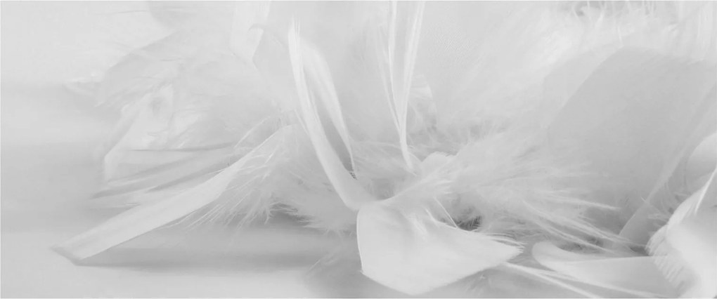 Kép - Tollak (120x50 cm)