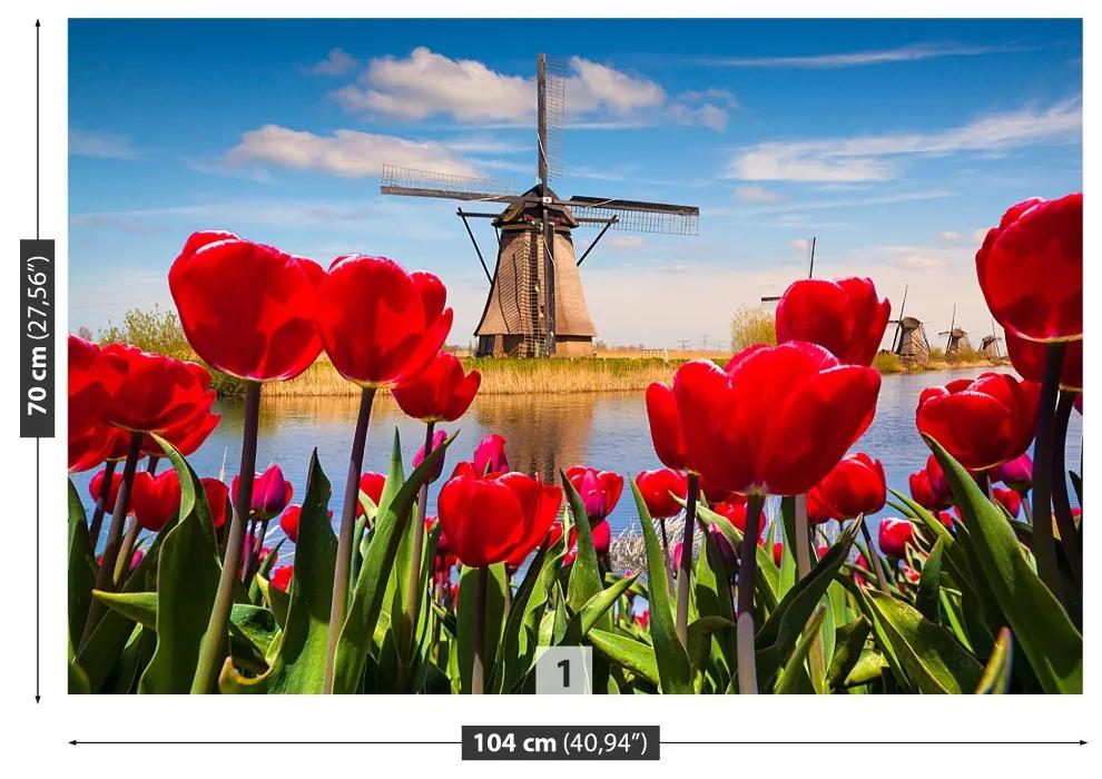 Fotótapéta Hollandia szélmalmok 104x70 cm