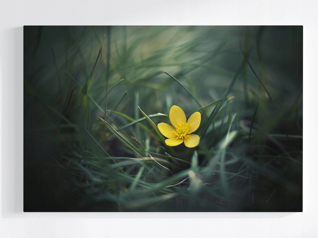 Vászonkép Canvas Kert Rét Fű Sárga Virág Tavasz Természet 60x40