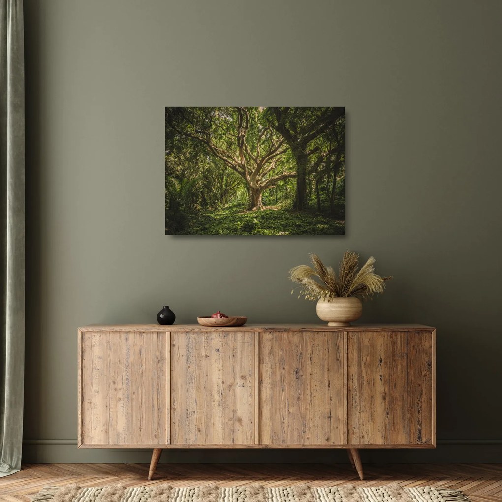 Fa képe (üvegen) (70x50 cm)