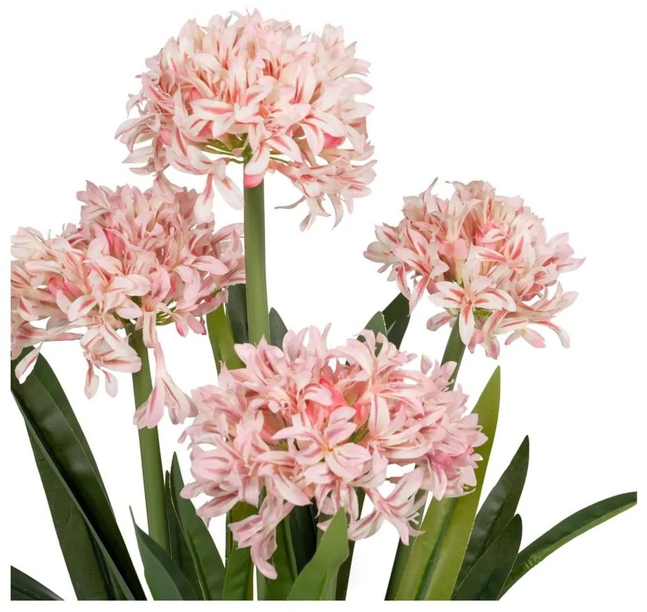 Művirág (magasság 100 cm) Hyacinth – Ixia