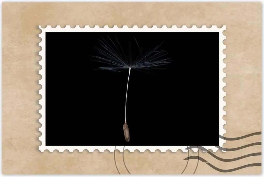 Poszterek 90x60 Pitypang Virág Virágok