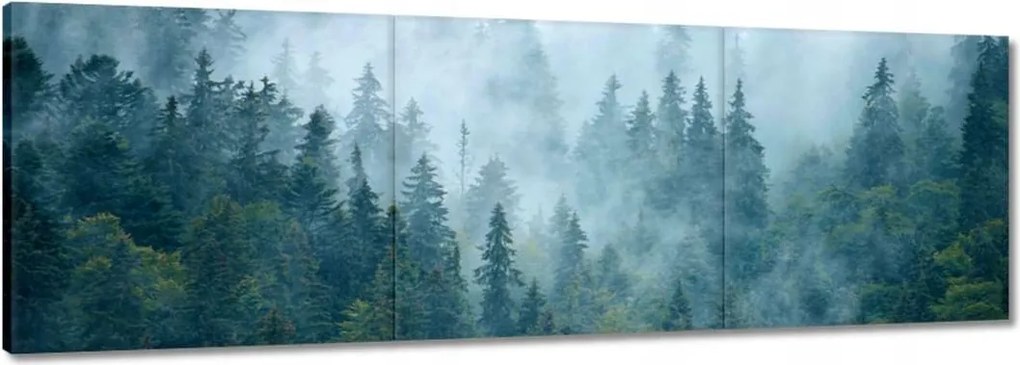 Vászonkép 60x20 Erdő a ködben Utazás