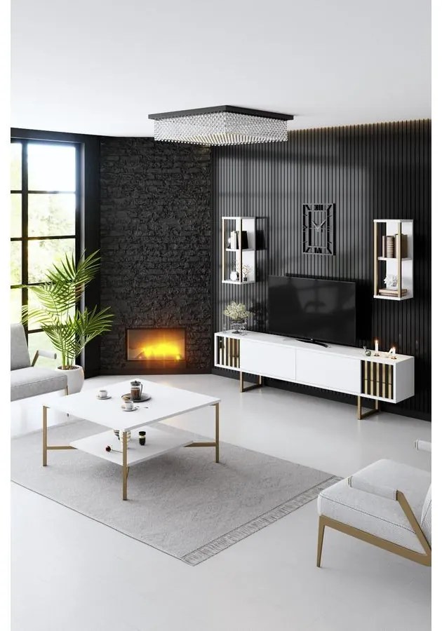 TV szekrény Gold Line - White, Black