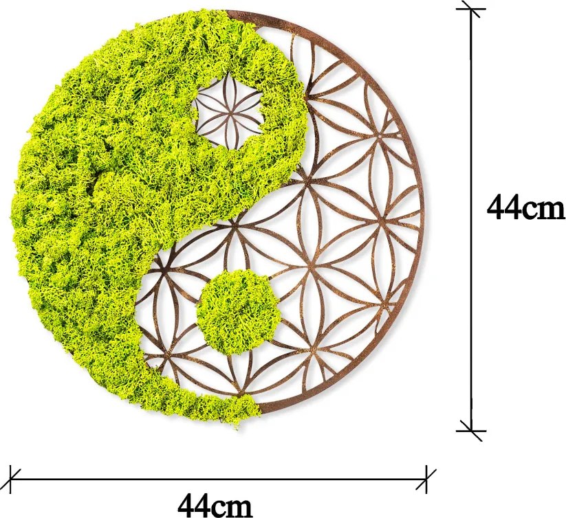 Fa és moha fali dekoráció, yin-yang, 44 cm