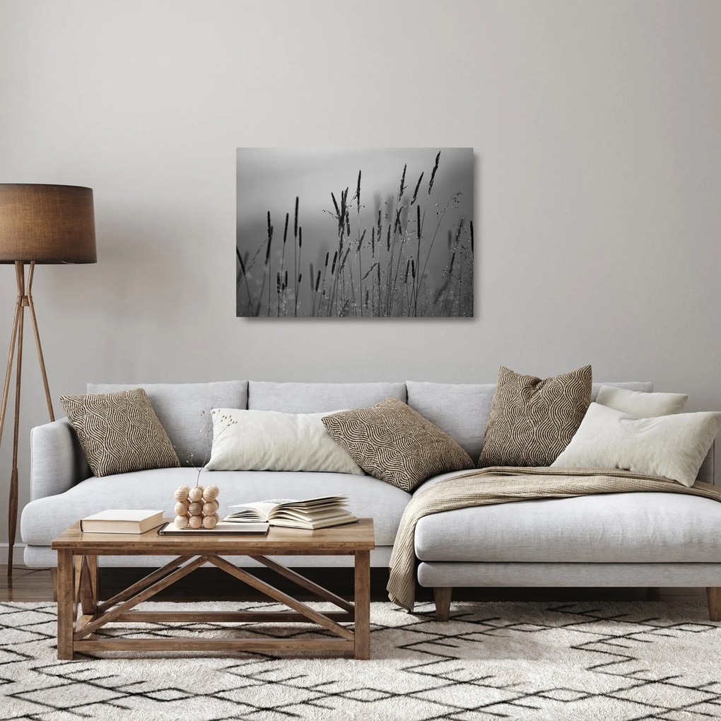 Üveg kép - Fűszálak (70x50 cm)