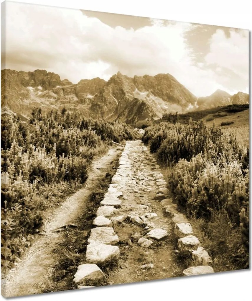 Vászonkép 50x50 Tátra Lengyel hegyek Kilátás