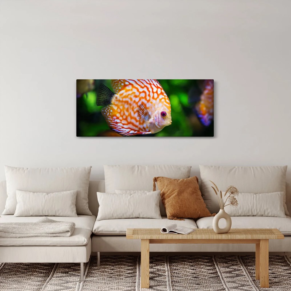 Egy hal képe (120x50 cm)