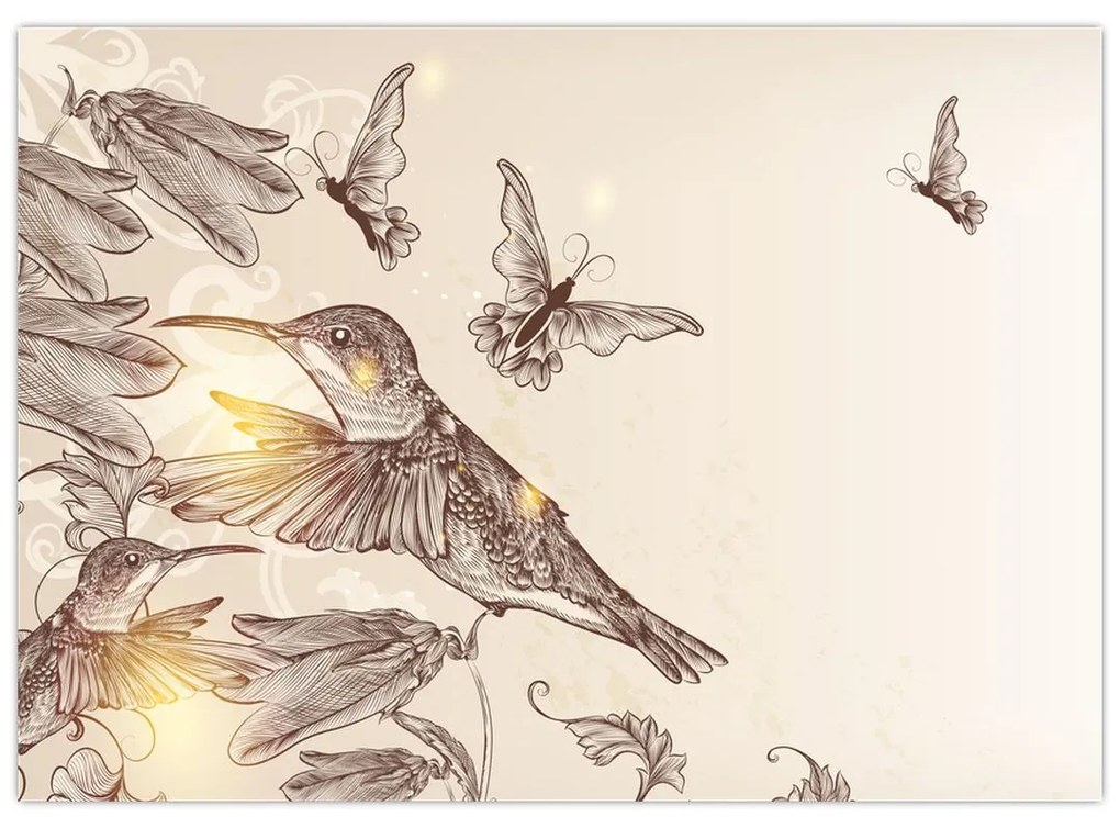Kép - Kolibri (üvegen) (70x50 cm)