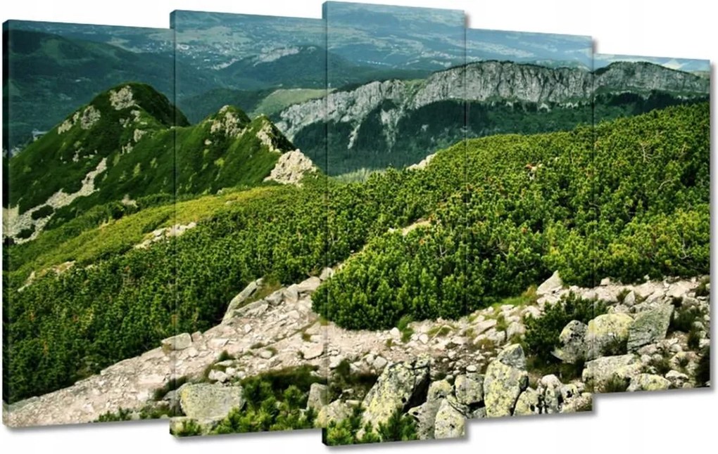 Képek 100x60 Tátra Lengyel hegyek Kilátás