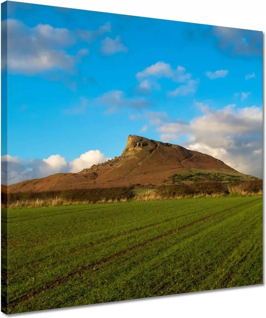 Vászonkép 40x40 Hegy a mező mögött