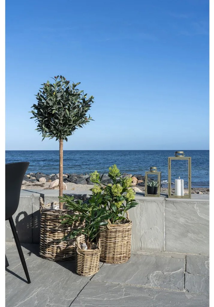 Skimmia fa műnövény 75 cm