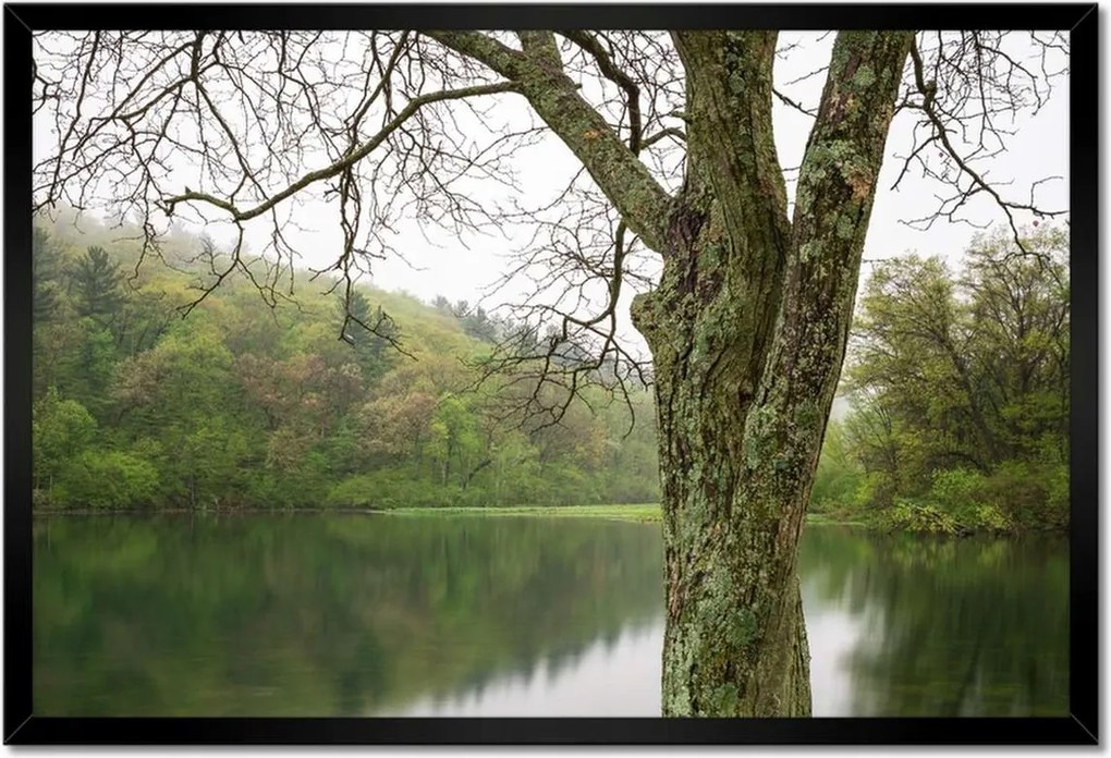 Poszterek keretben 60x40 Fa Folyó Erdő