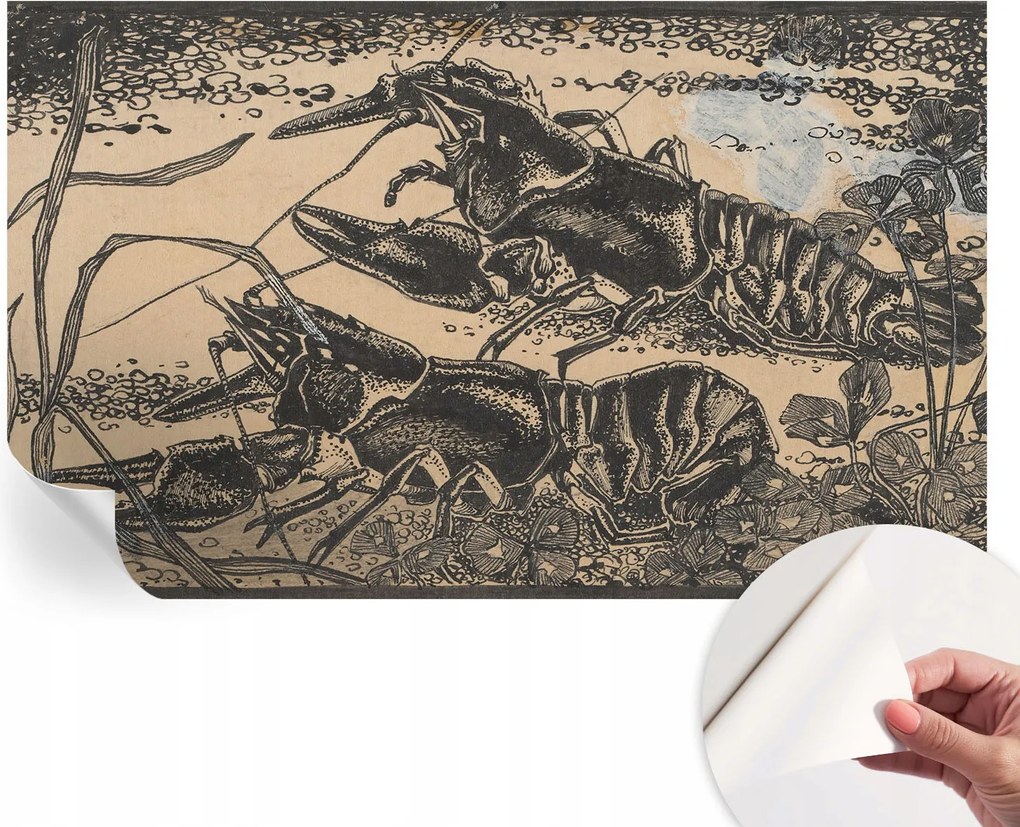 Fotótapéta Dekoratív Fali Tapéta Fotók Vízi Rákok 416x254