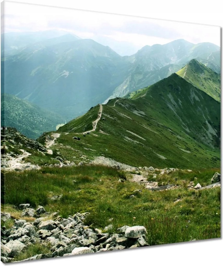 Vászonkép 60x60 Tátra Lengyel hegyek Kilátás