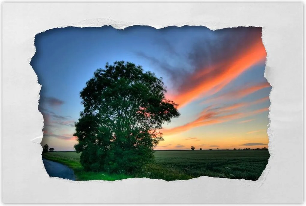 Poszterek 120x80 Lángoló égbolt