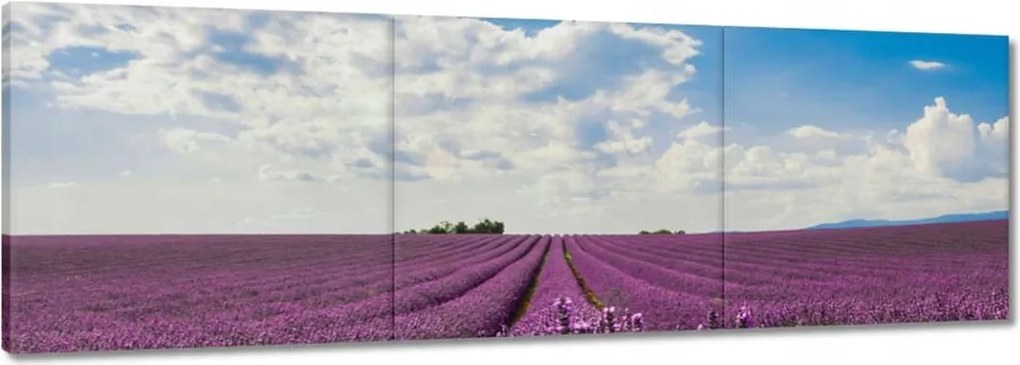 Vászonkép 60x20 Levendulamező Levendula
