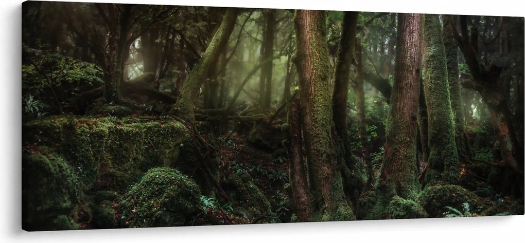 Kép - Titokzatos erdő (120x50 cm)