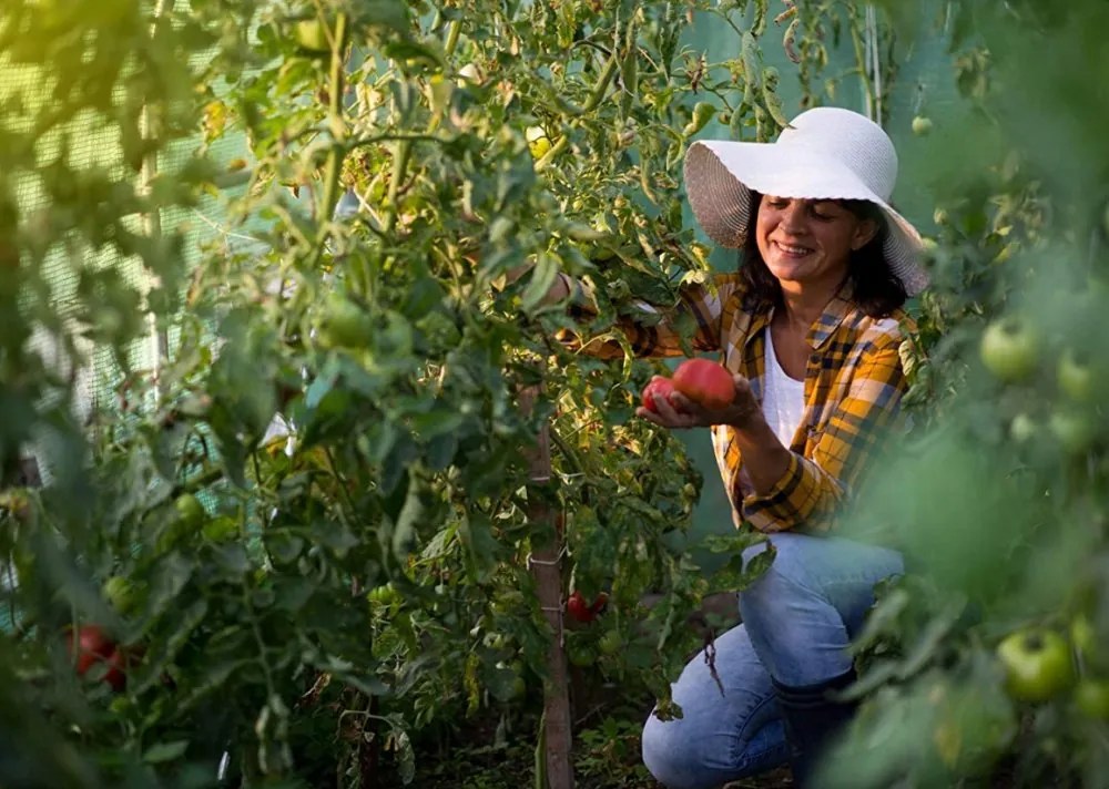 Kerti fóliasátor 2 x 3,5 m
