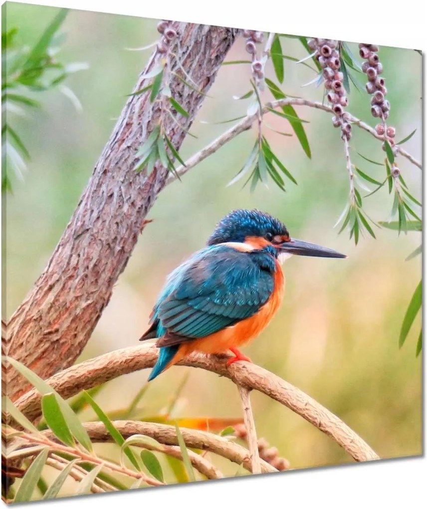 Vászonkép 80x80 Pihenés munka közben