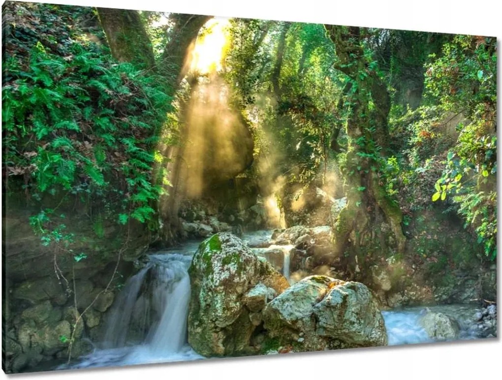 Festmények 120x80 Vízesés Tájkép