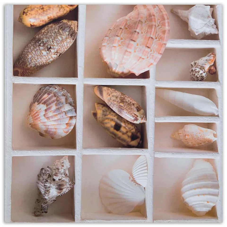 Gario Vászonkép Válogatott kagylók egy dobozban Méret: 60 x 60 cm