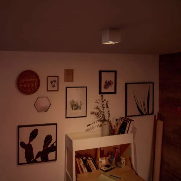 Philips 50491/31/P0-LED Dimmelhető spotlámpa MYLIVING BOX 1xLED/4,5W/230V