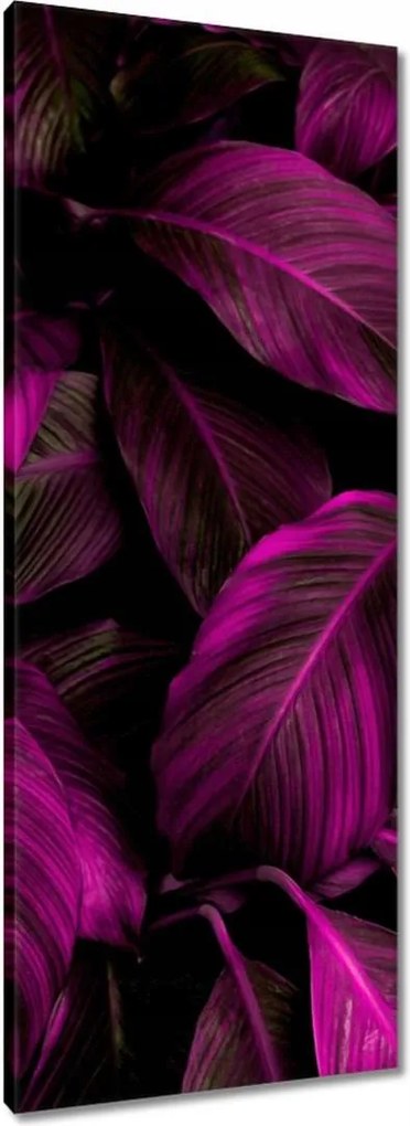 Vászonkép 40x100 Gyönyörű fukszia levelek