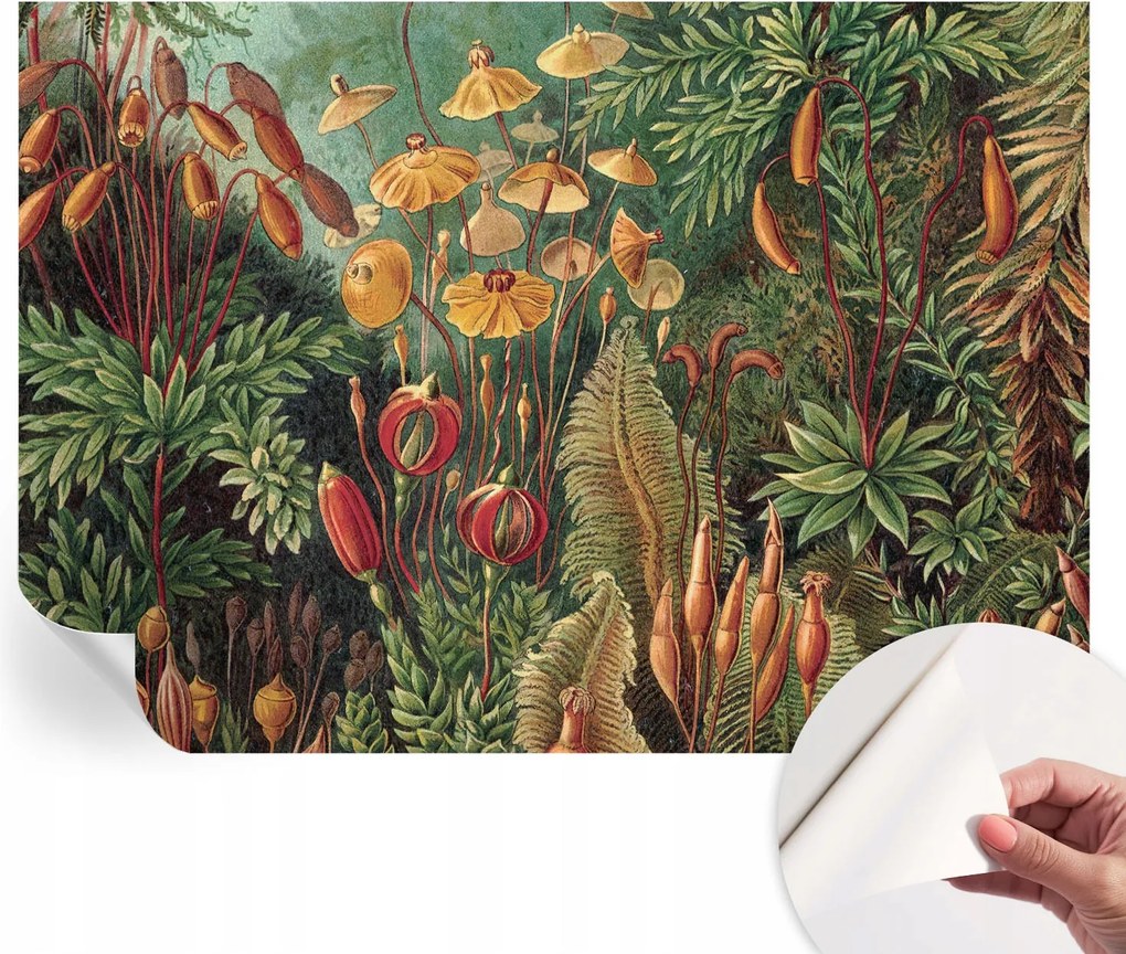 Fotótapéta Öntapadós Dekoratív tapéta Egzotikus kert 208x146 cm