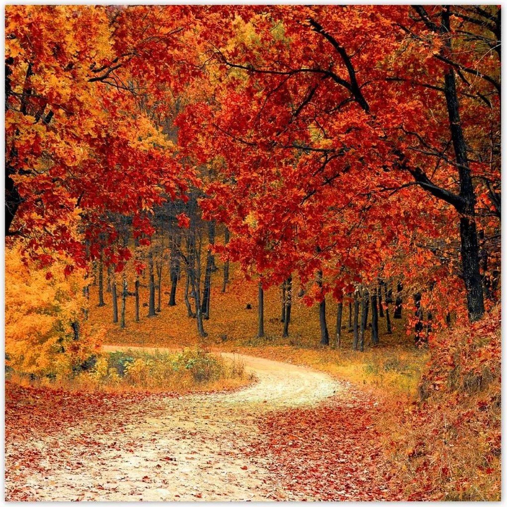 Poszterek 70x70 Tájkép