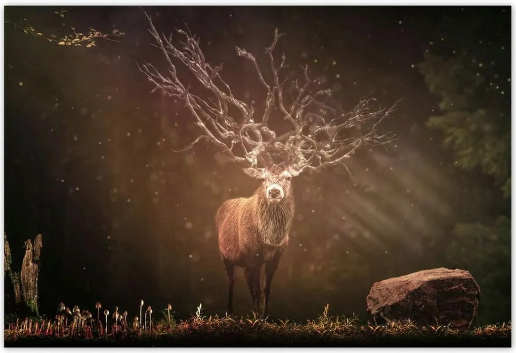 Poszterek 200x135 Szarvas felszarvazott