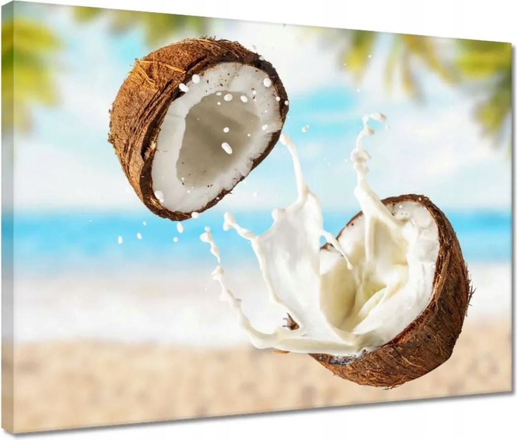 Vászonkép 40x30 Kókusztej Kókusz