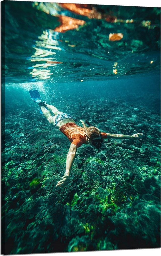 Vászonkép Emberek Búvár az óceánban 50x80 cm