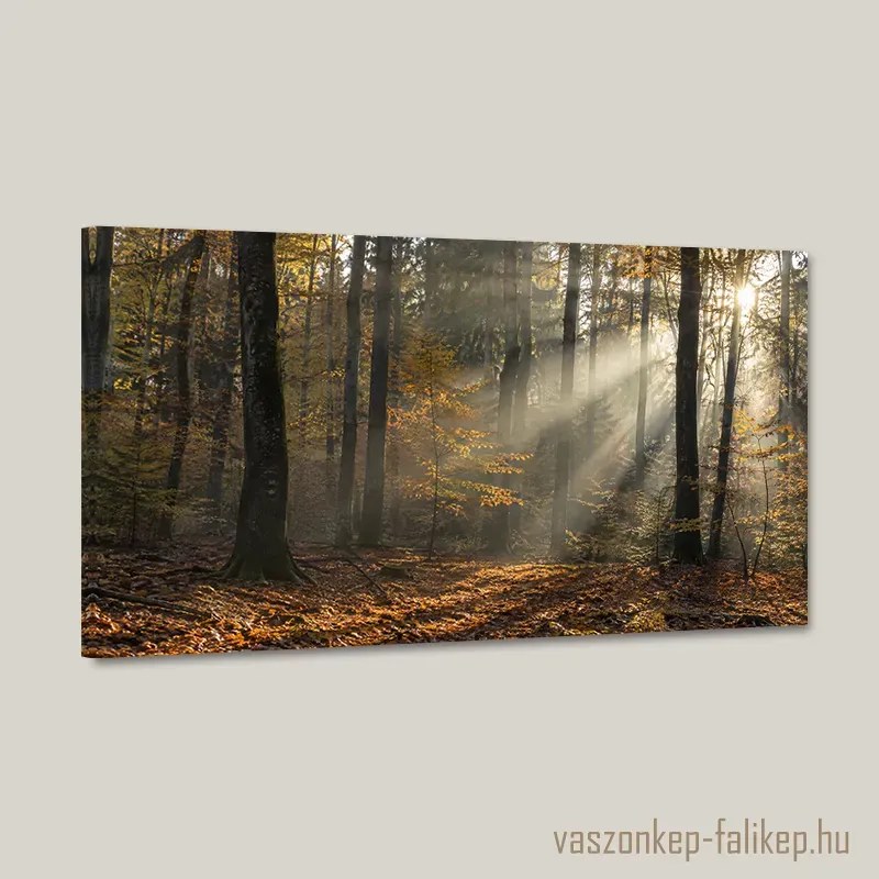 Aranyerdő fényei – prémium vászonkép 40x23 cm