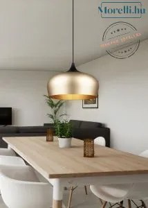 TRIO 310890108 CHIRON Egyágú Függesztett Lámpa Fém LED IP20