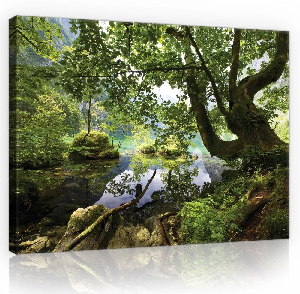 Erdei patak, vászonkép, 60x40 cm méretben