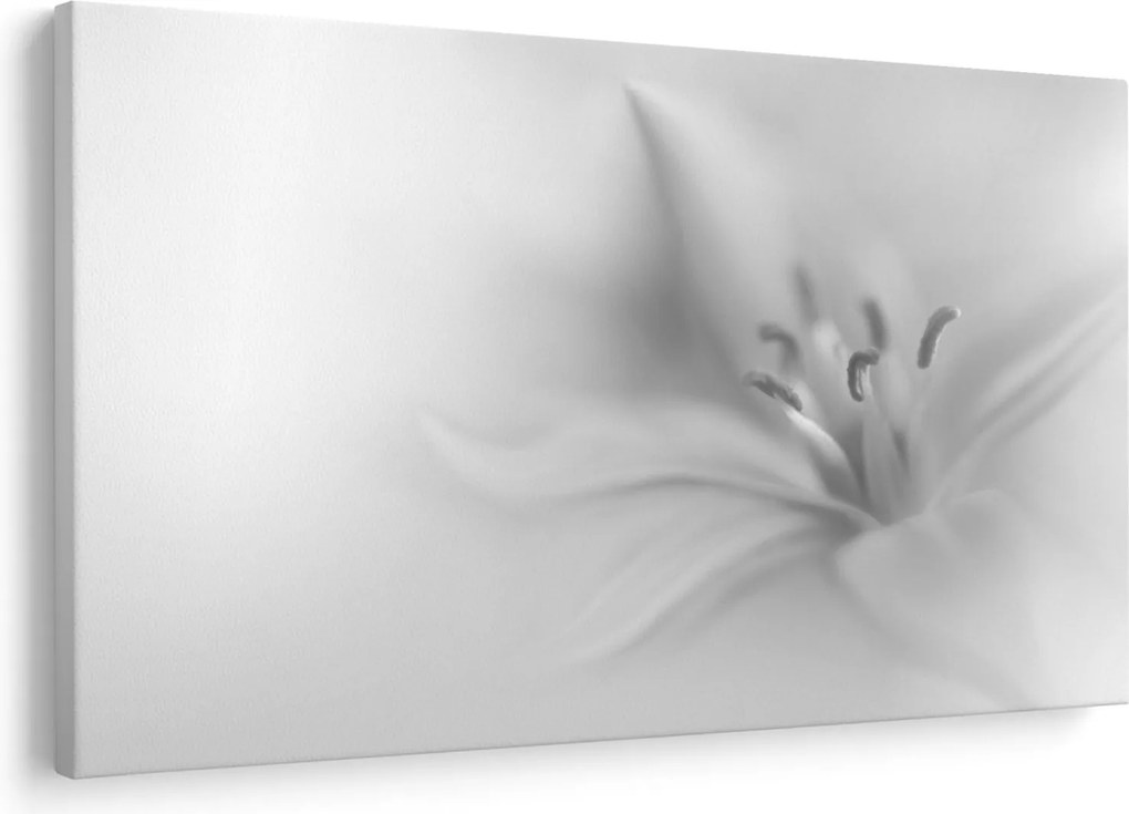 Kép - Delicate Lily (90x60 cm)