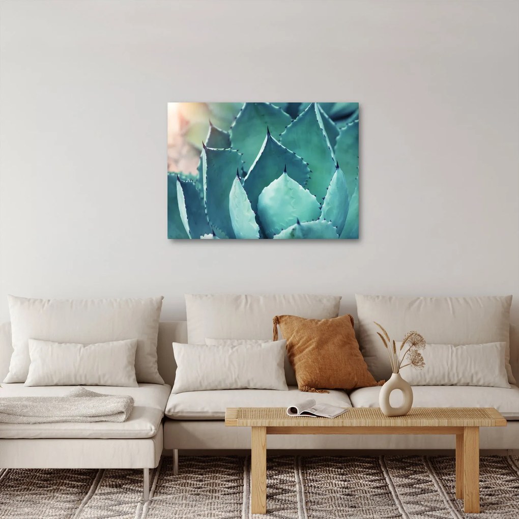 Kép - Szukulent (70x50 cm)
