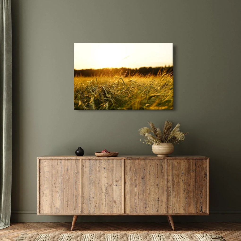 Harmatos fű képe (90x60 cm)