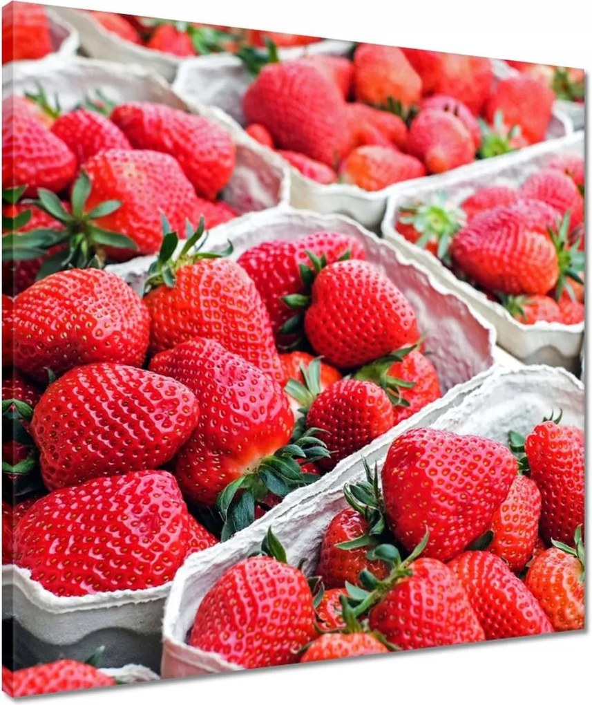 Festmények 50x50 Konyhai képek Forradalmak