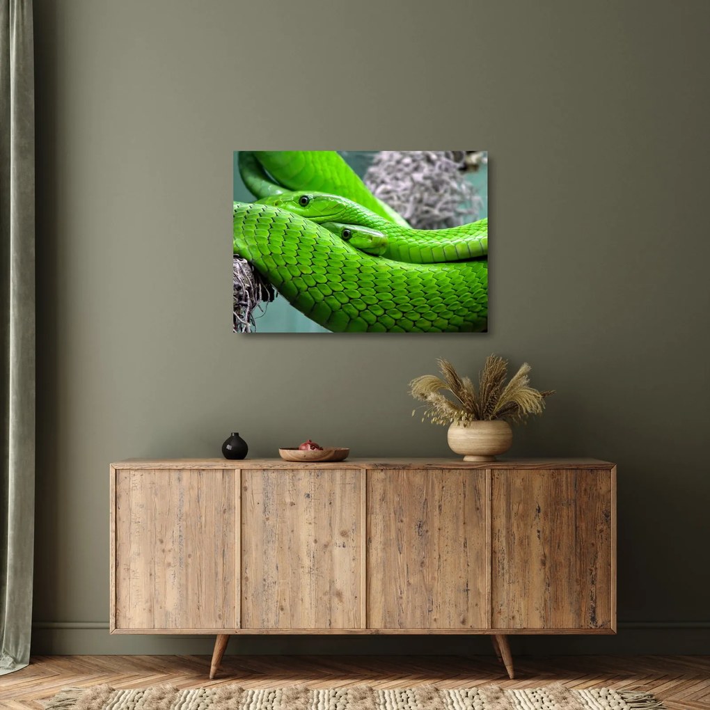Zöld kígyók képe (üvegen) (70x50 cm)