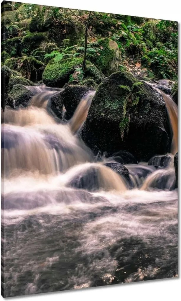 Vászonkép 70x100 Hegyi folyó