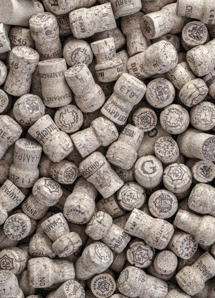 Poszter 20,5x28,4cm Pezsgős dugók, Assaf Frank