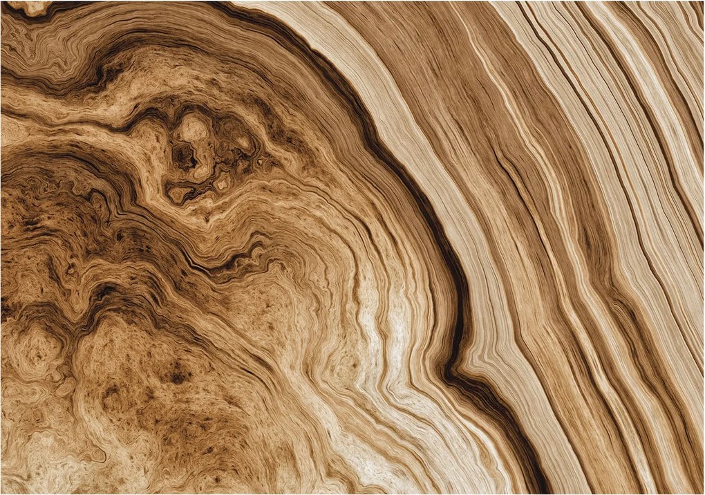 Dekoratív Fotótapéta Hálószobába Fa tégelyek 312x219