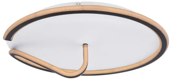 Globo 48439-50-LED Dimmelhető mennyezeti lámpa RODAN LED/50W/230V 3000-6000K+ távirányító