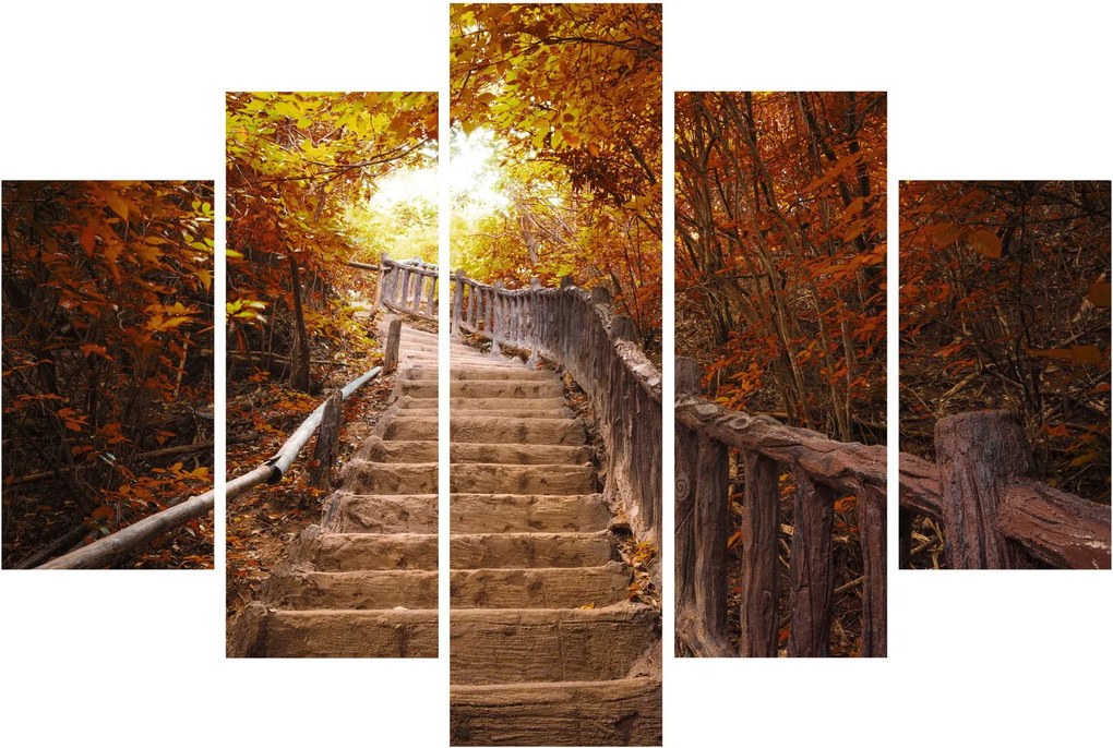 Kép - Lépcsők a természetben ősszel (150x105 cm)