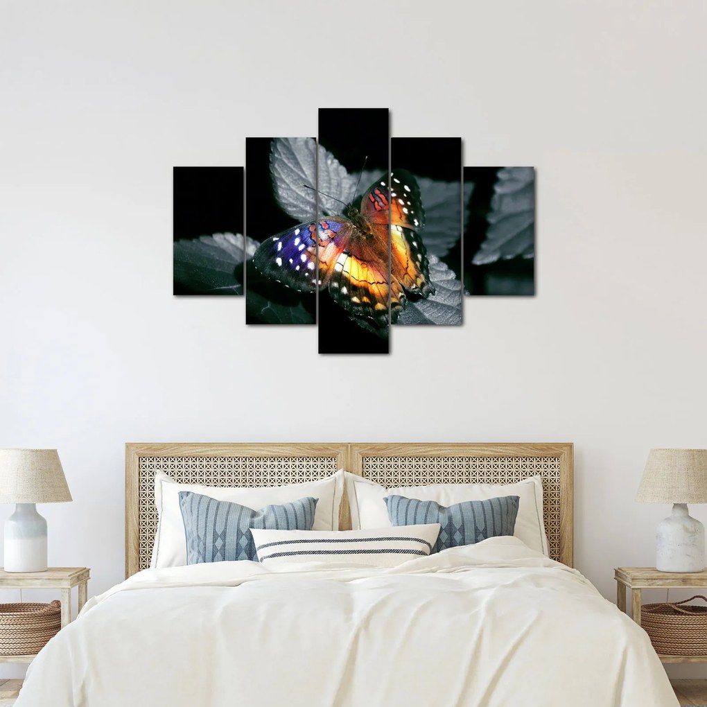 Pillangó képe (150x105 cm)