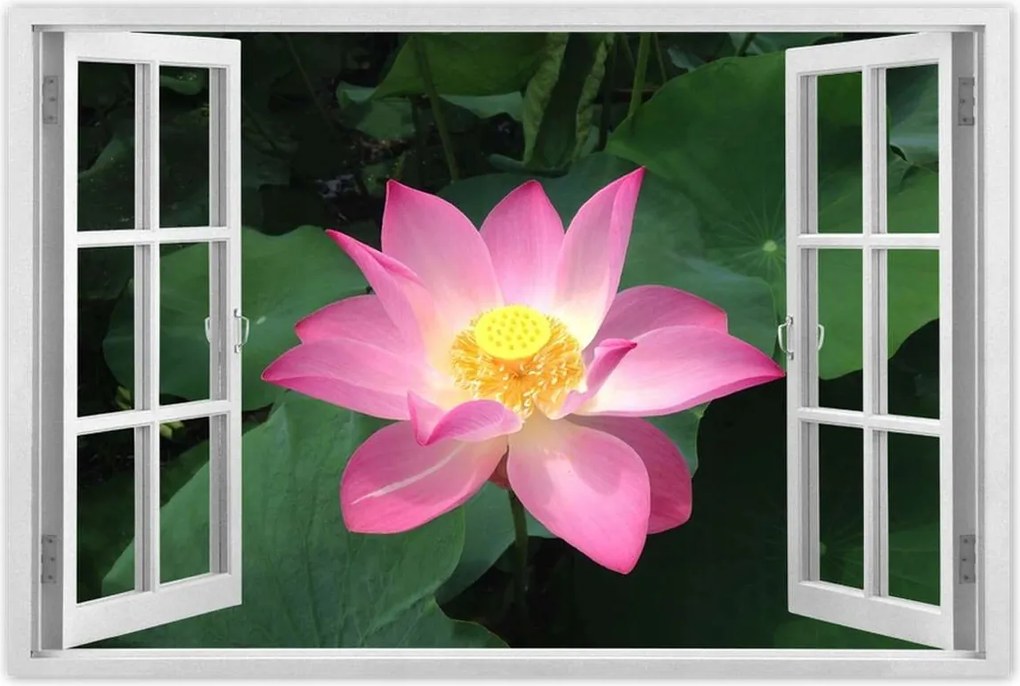 Poszterek 90x60 Lótusz Lótuszvirág